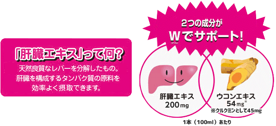 2つの成分がWでサポート!